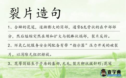 裂片造句