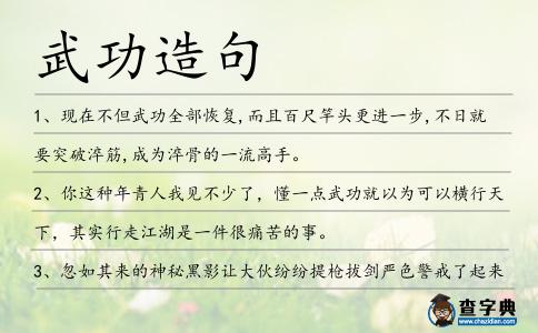 武功造句