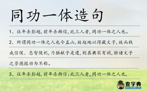 同功一體造句