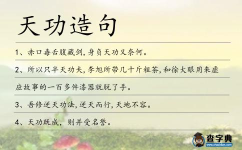 天功造句