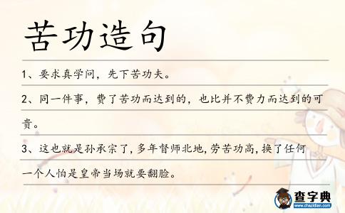 苦功造句