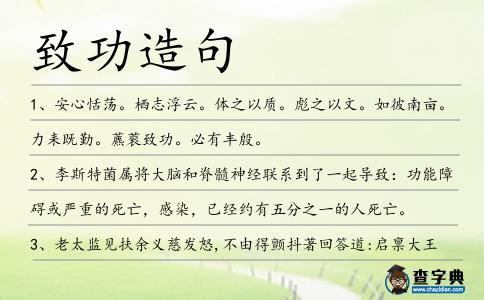 致功造句