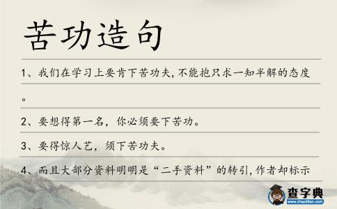 苦功造句