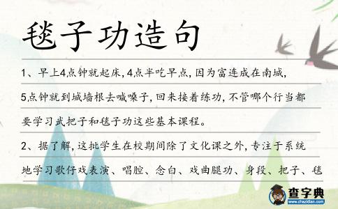 毯子功造句
