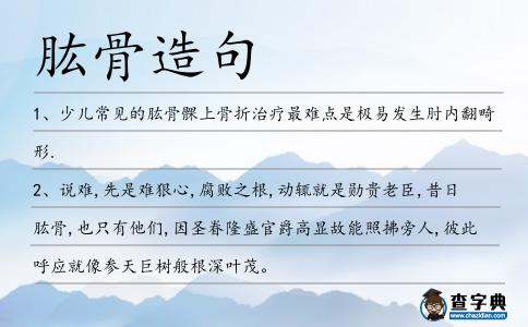 肱骨造句