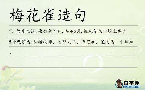 梅花雀造句