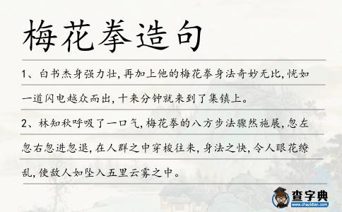 梅花拳造句