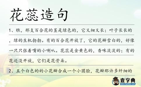 花蕊造句
