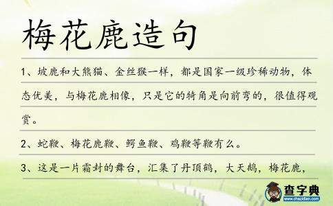 梅花鹿造句