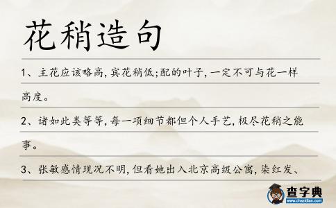 花稍造句