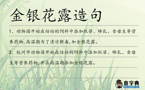 金銀花露造句