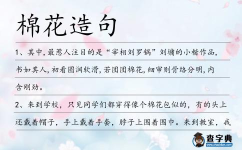 棉花造句