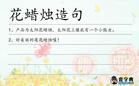 花蠟燭造句