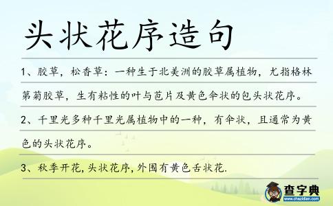 頭狀花序造句