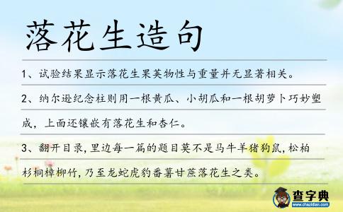 落花生造句
