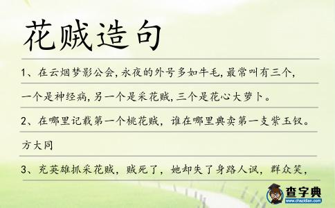 花賊造句