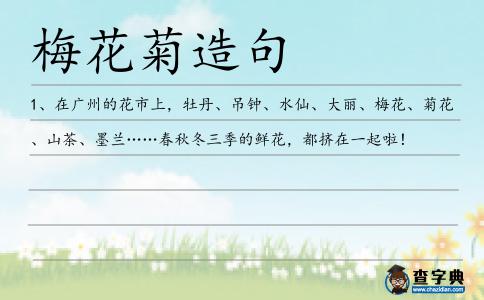梅花菊造句