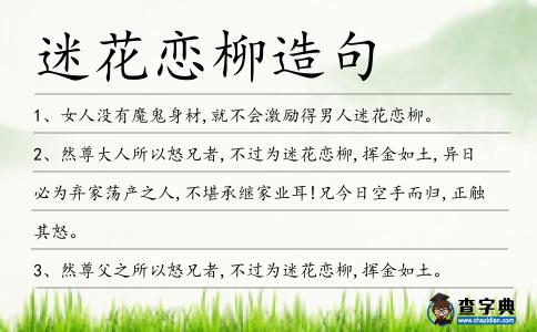 迷花戀柳造句
