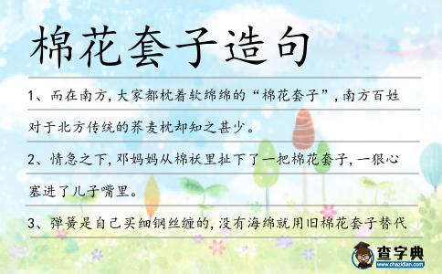 棉花套子造句