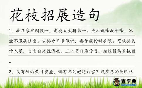 花枝招展造句