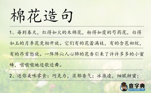 棉花造句