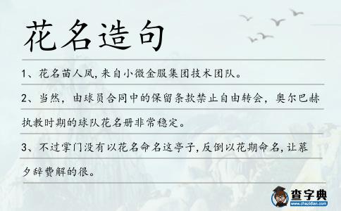 花名造句