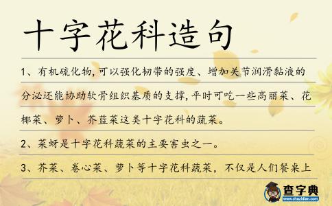 十字花科造句