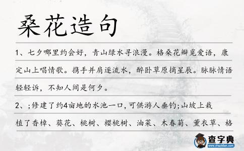 桑花造句