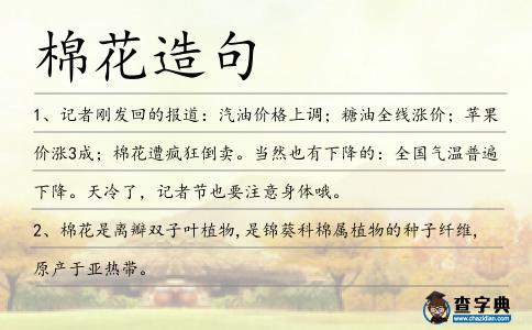 棉花造句