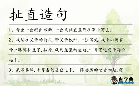 扯直造句