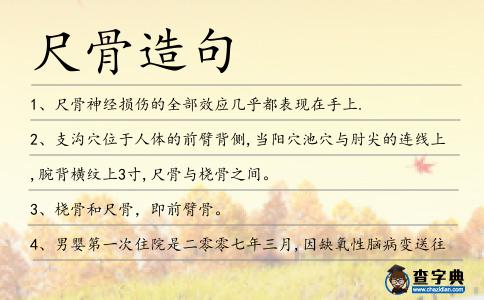 尺骨造句