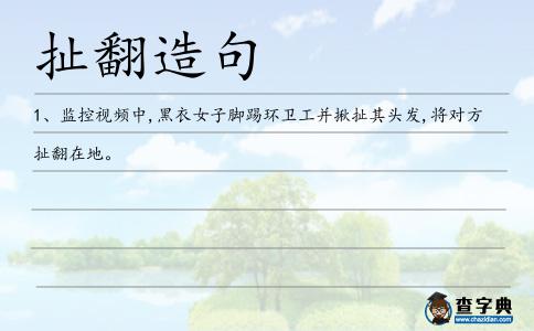 扯翻造句