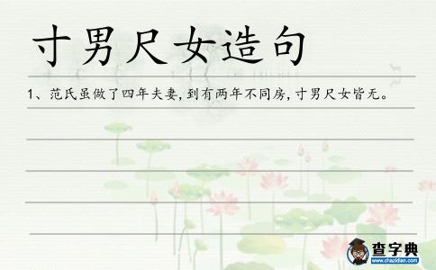 寸男尺女造句