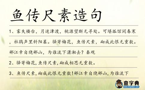 魚傳尺素造句