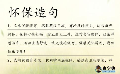 懷保造句
