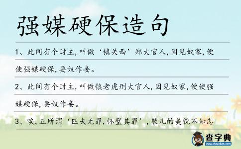 強媒硬保造句