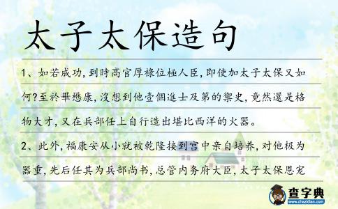 太子太保造句