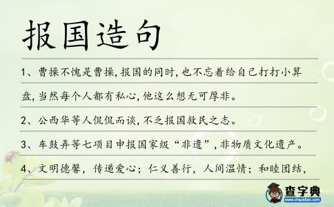 報國造句