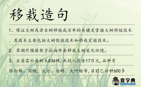 移栽造句