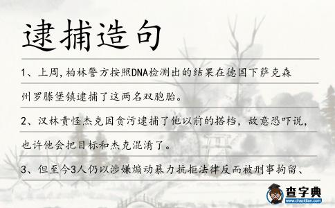 逮捕造句