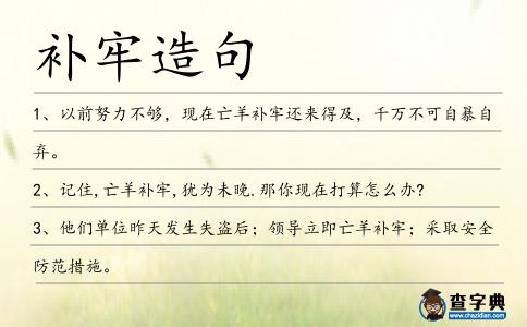 補牢造句