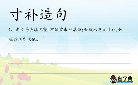 寸補造句