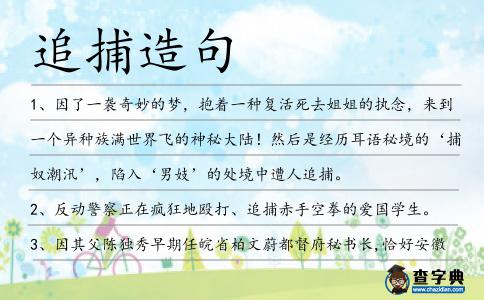追捕造句