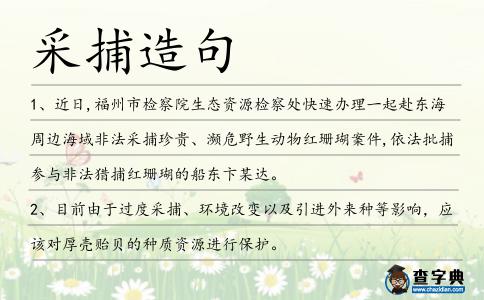 采捕造句