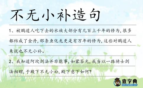 不無(wú)小補(bǔ)造句