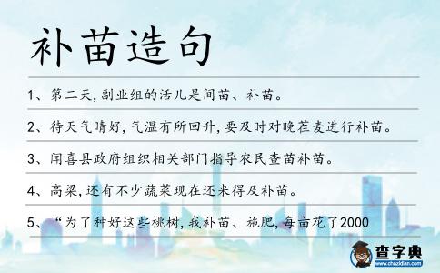 補苗造句