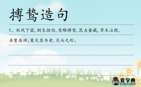 搏鷙造句