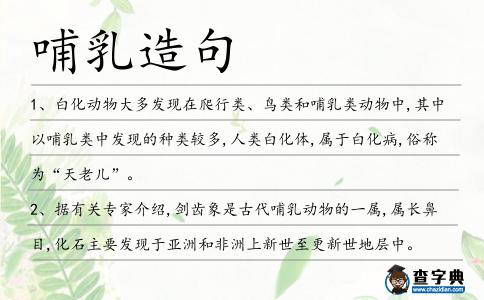哺乳造句