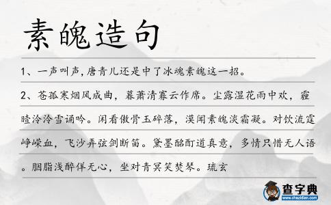 素魄造句