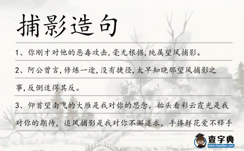 捕影造句